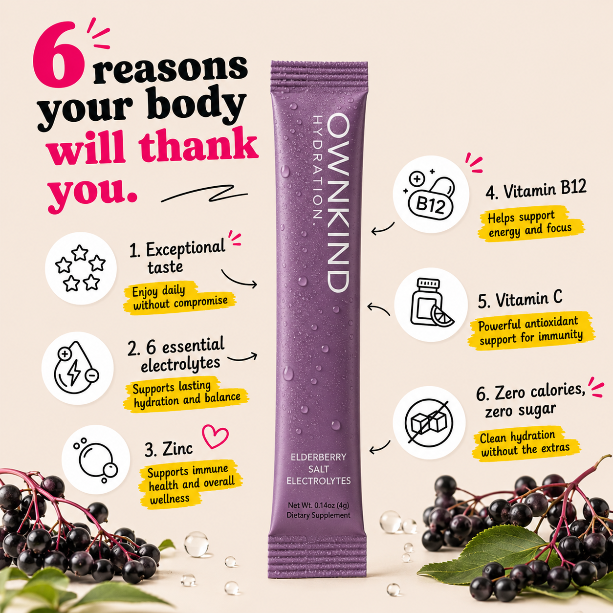 Elderberry Electrolytes